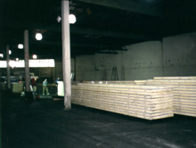 aeti0119.jpg (14245 bytes)