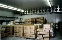 aeti0120.jpg (20120 bytes)